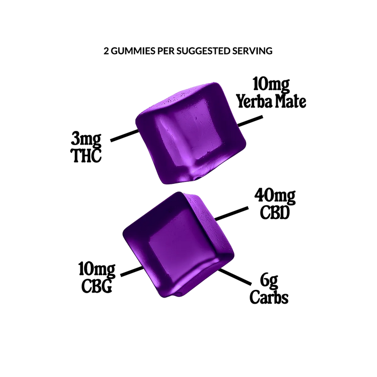 Wild Berry / 3 PACK