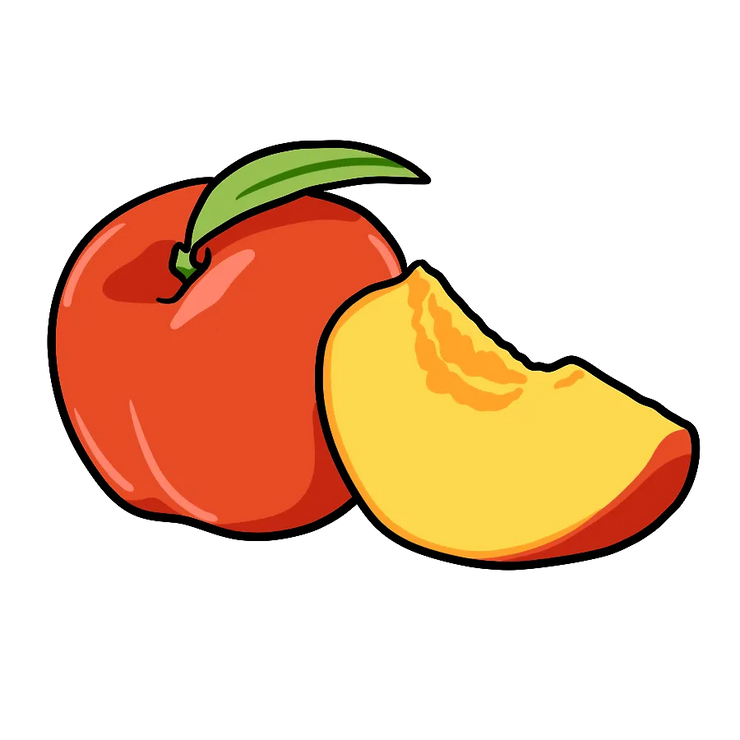 Palisades Peach / 3 PACK