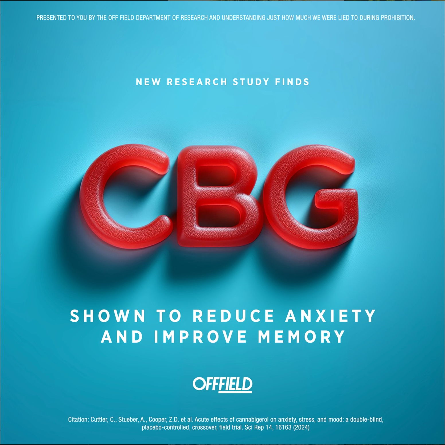 OFFFIELD High Performance Energy Gummies offfield-high-performance-energy-gummies